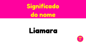 O que significa o nome Liamara?